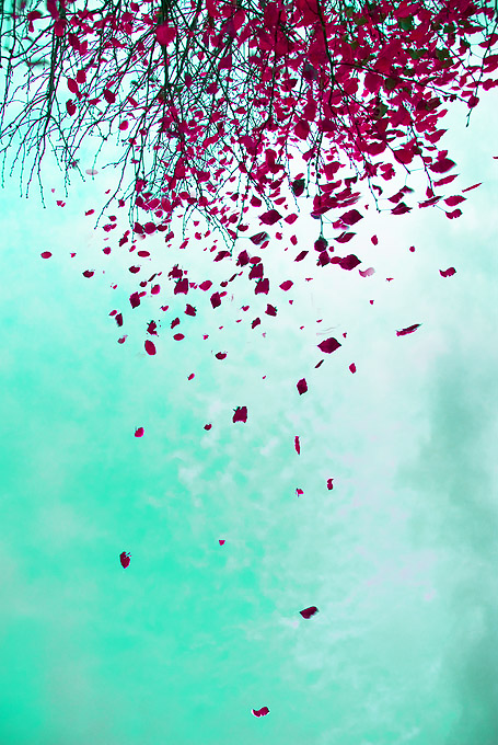  ::  Andrew Hefter ::  1