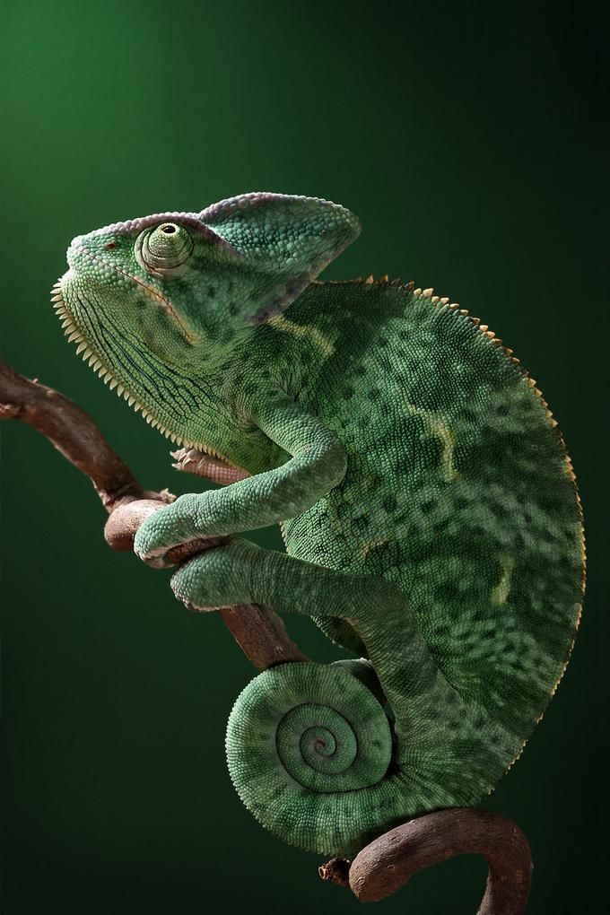   ::     ::  1