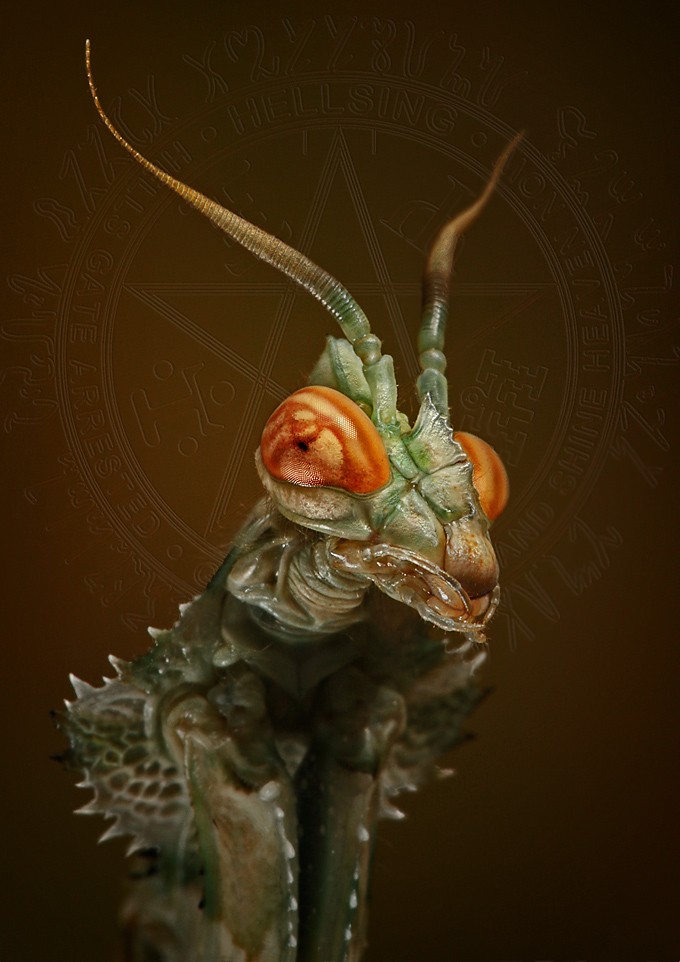    ::  1