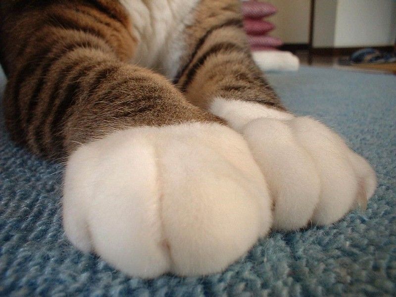   ::  1
