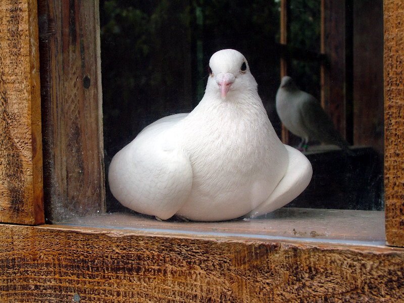   ::   ::  1