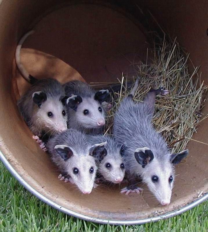   ::   ::  1