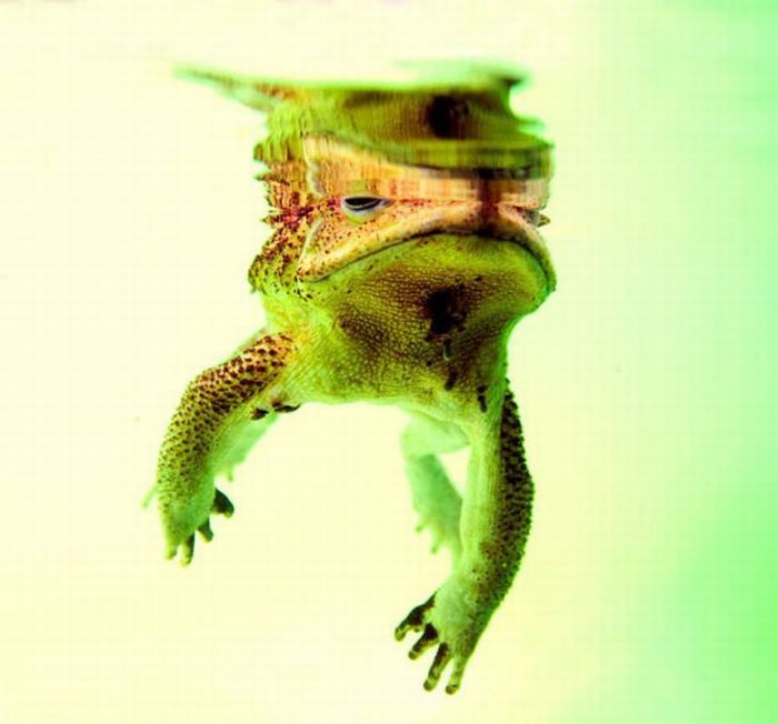  ::  1