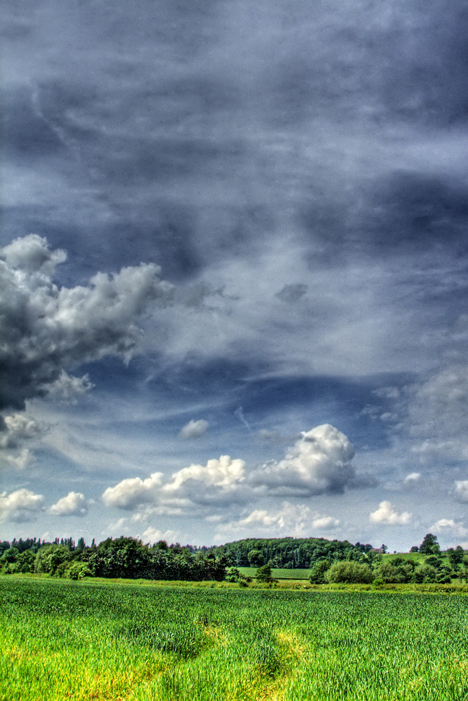  ::  HDRi ::  1