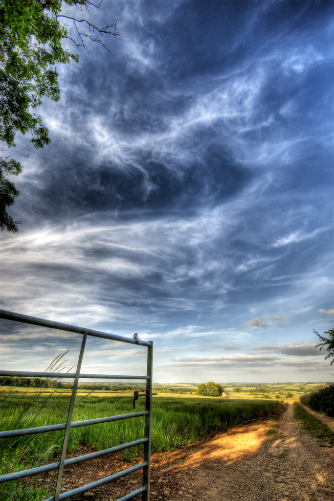  ::  HDRi ::  1