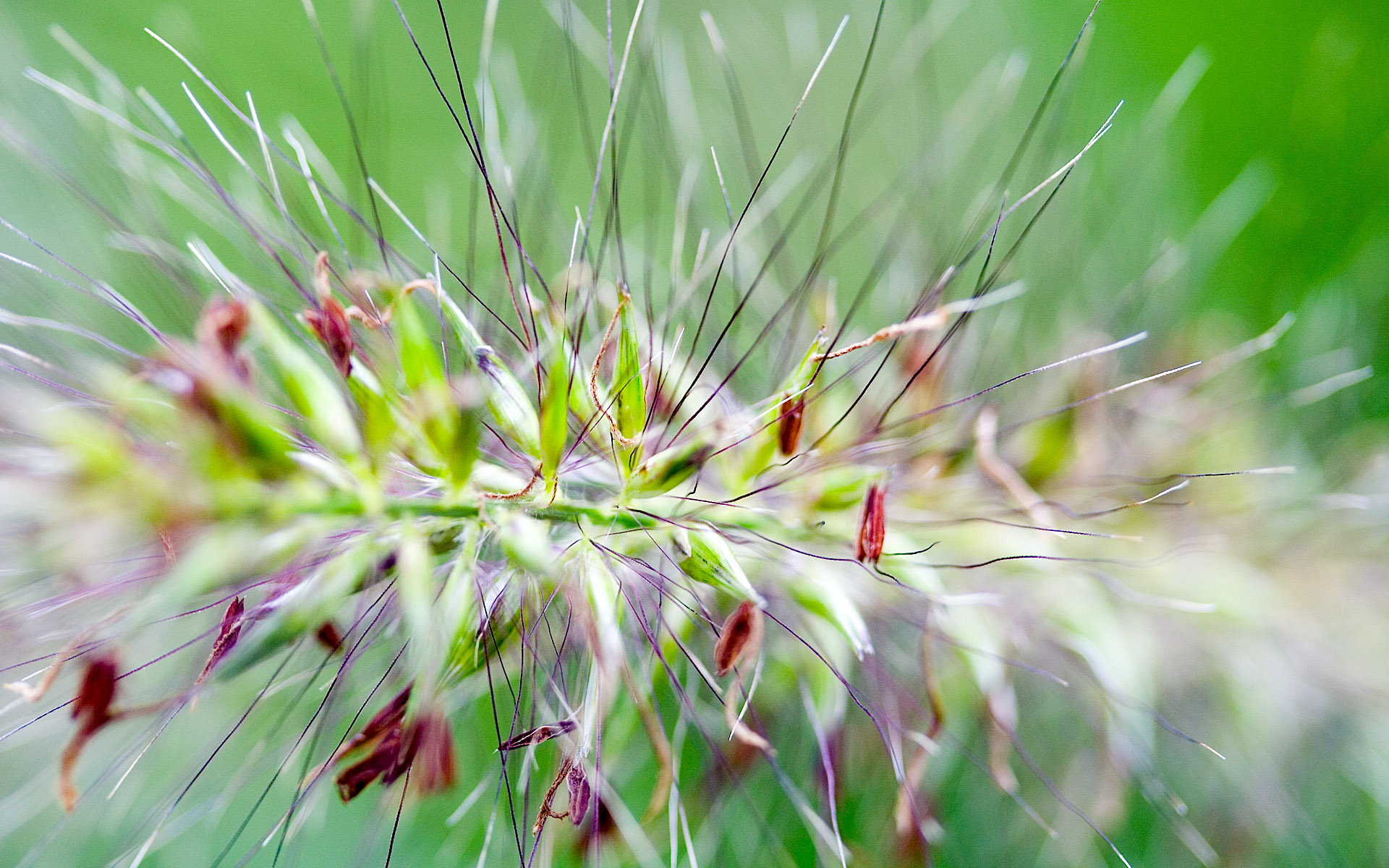     ::   ::  1