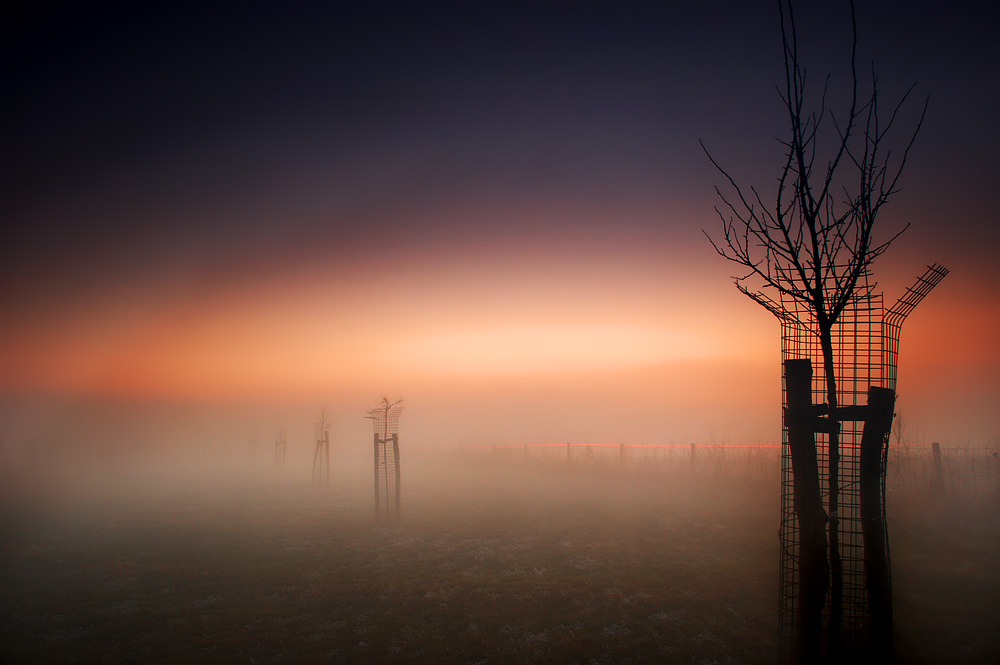  ::    Bart van Geffen ::  1