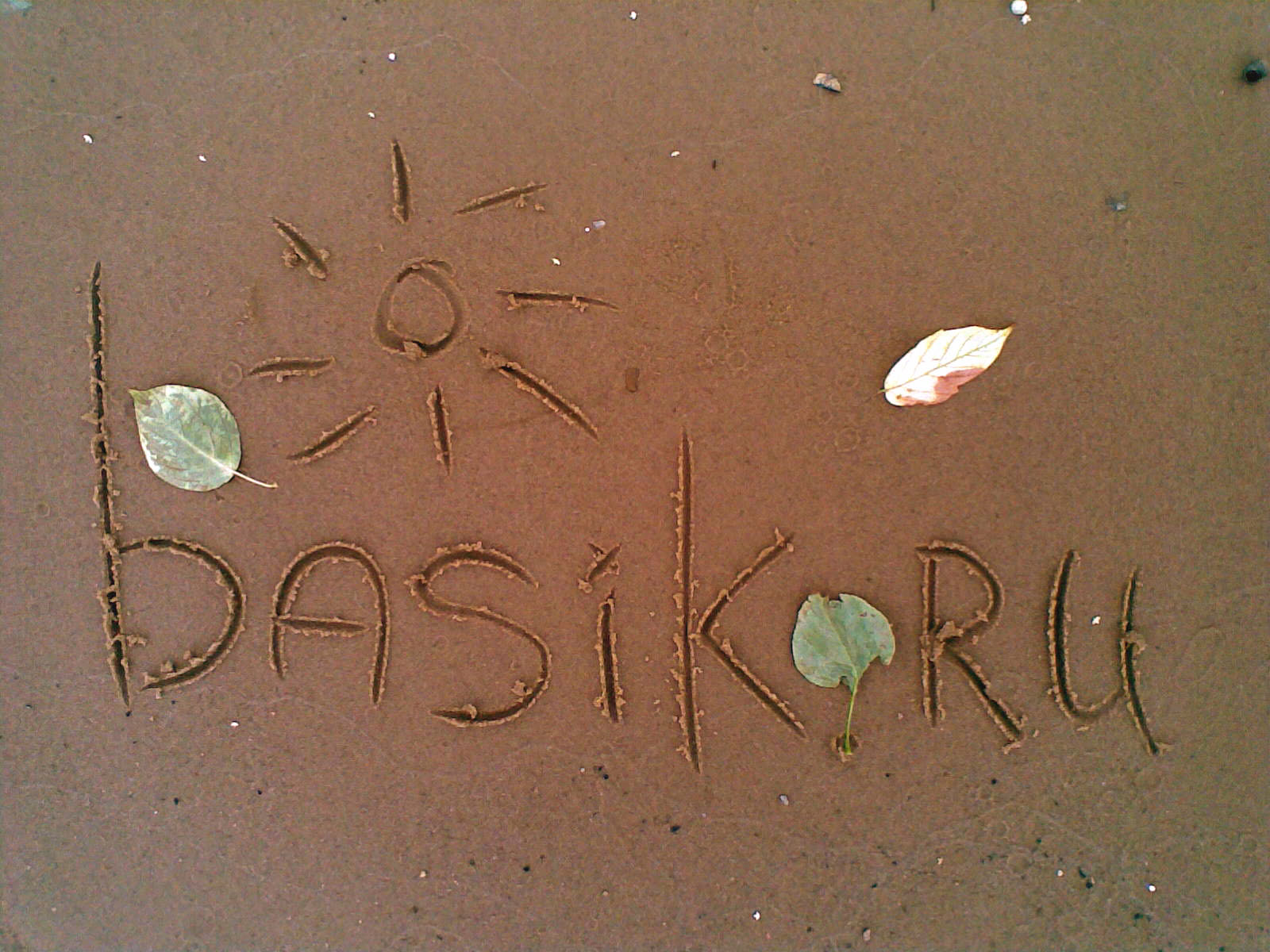   ::   basik.ru ::  1