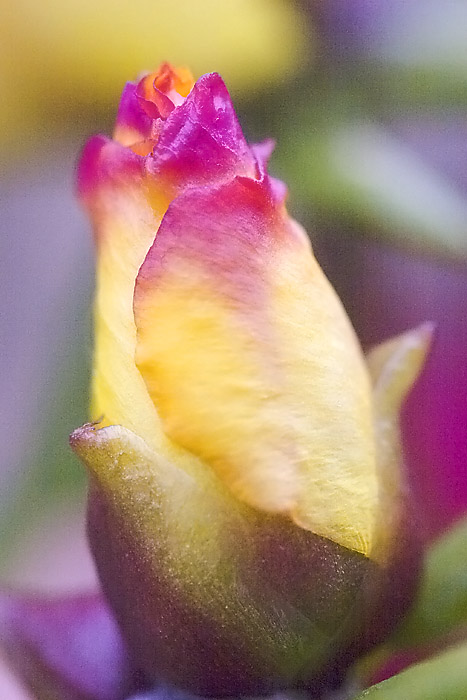  ::   ::  1