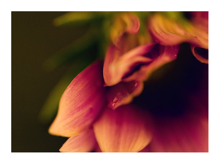  ::   ::  1