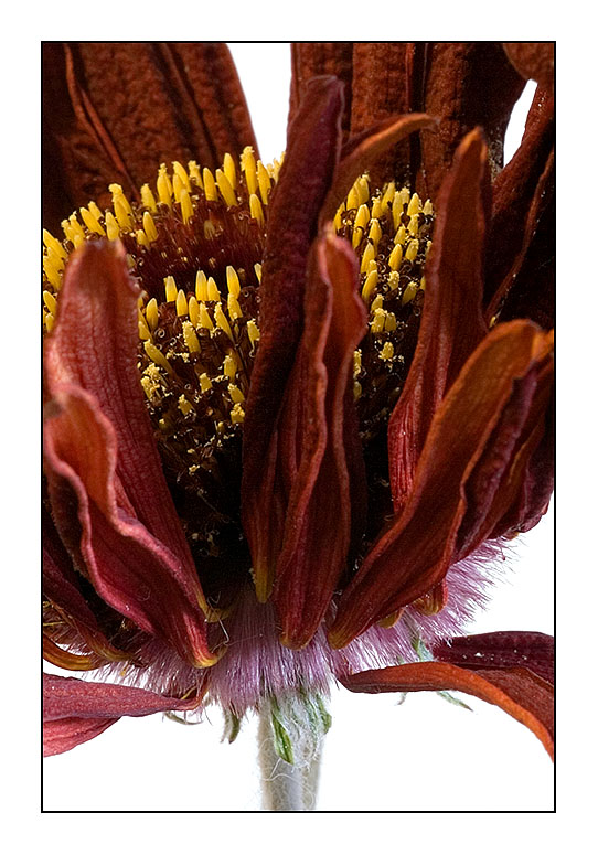  ::   ::  1