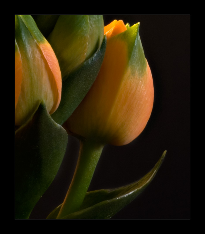  ::   ::  1