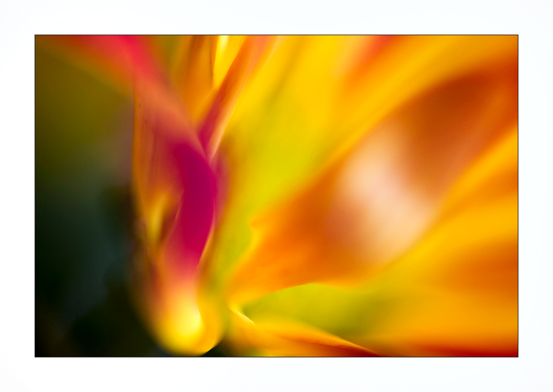  ::   ::  1