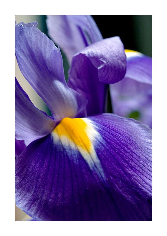  ::   ::  1
