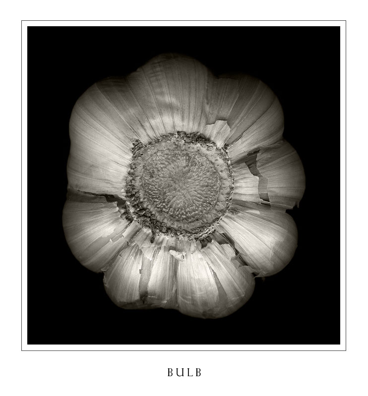  ::   ::  1