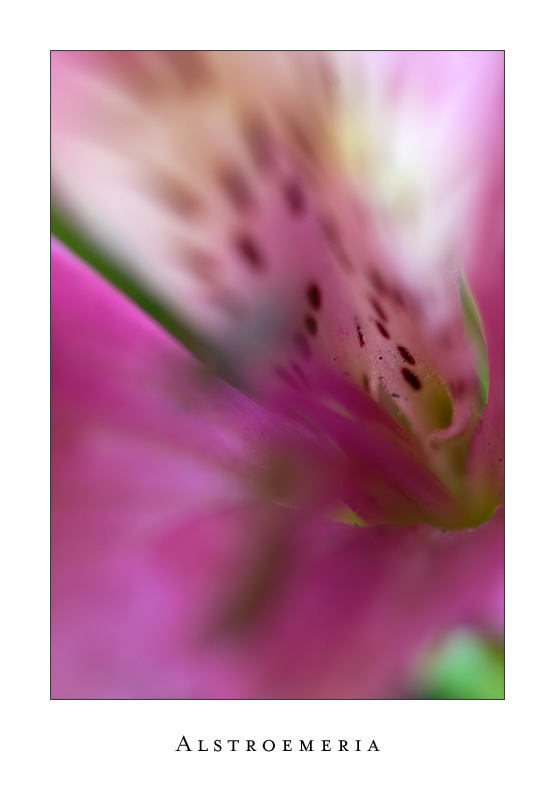  ::   ::  1