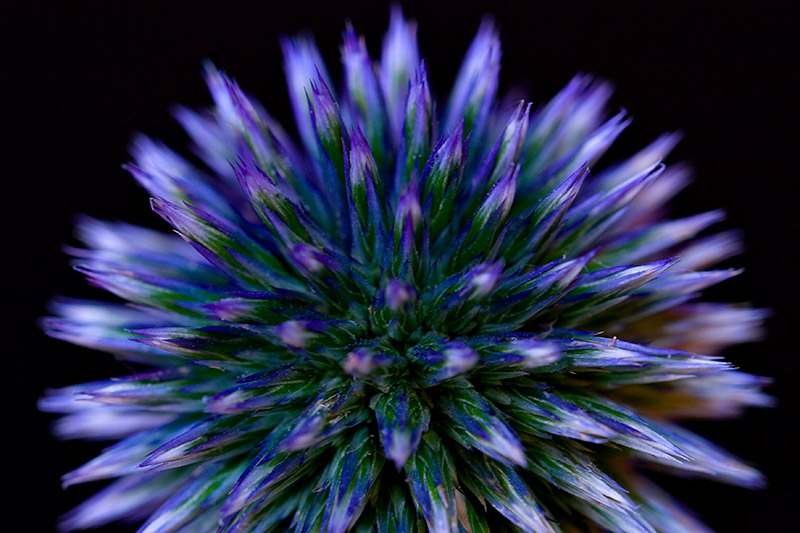  ::   ::  1