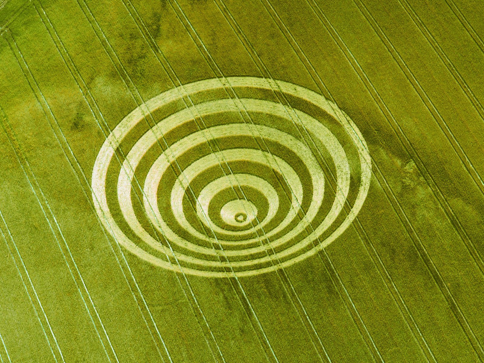  ::   ::  1