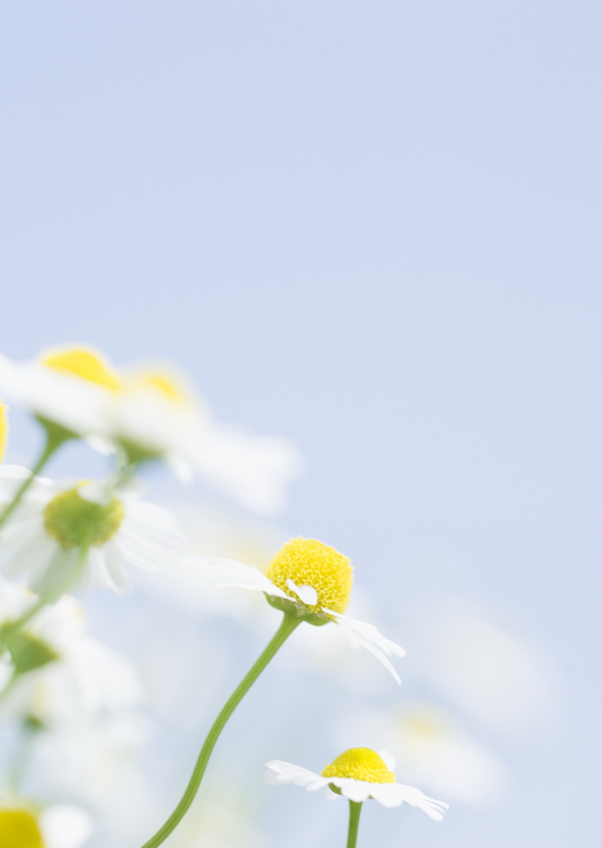     ::  1