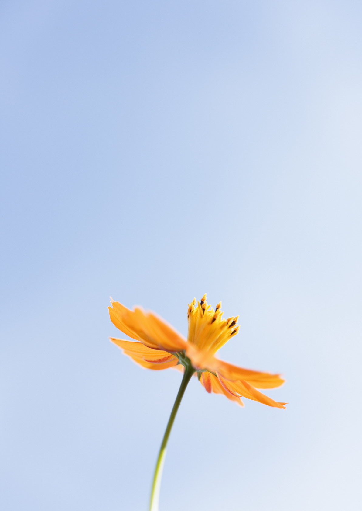     ::  1