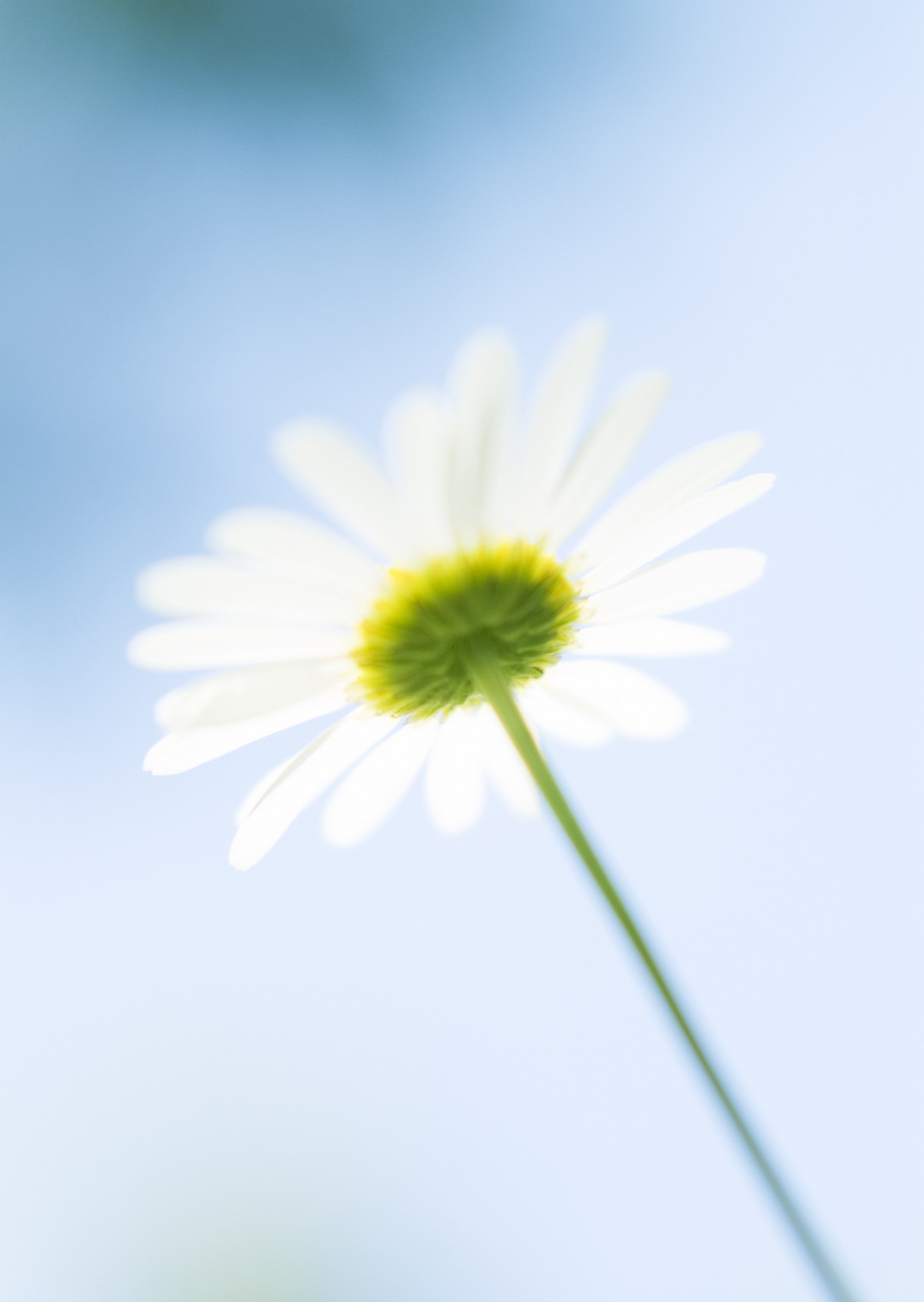     ::  1