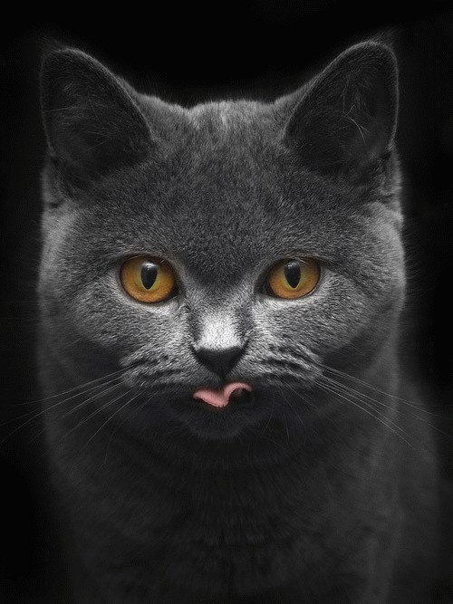   ::  ::  1