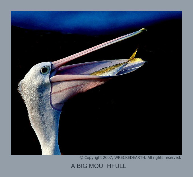   ::   ::  1