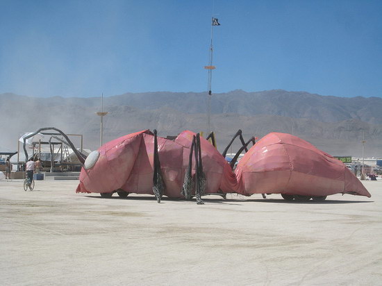   :: Burning man 2007  56