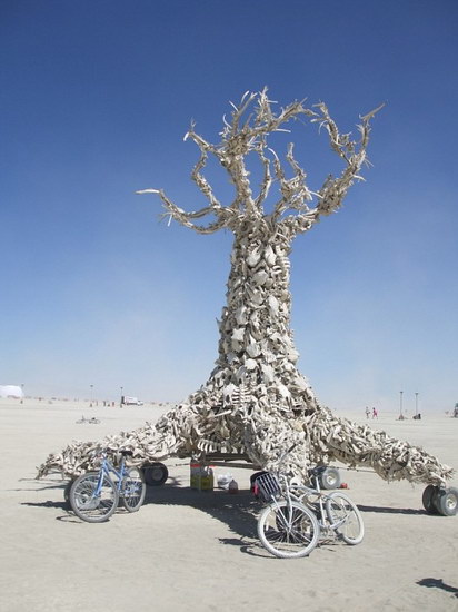   :: Burning man 2007  77