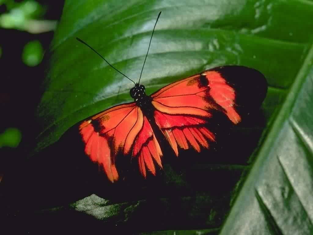   ::  ::  1