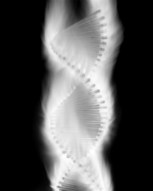   ::  1