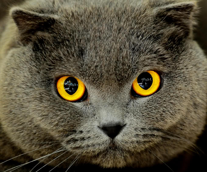   ::  2