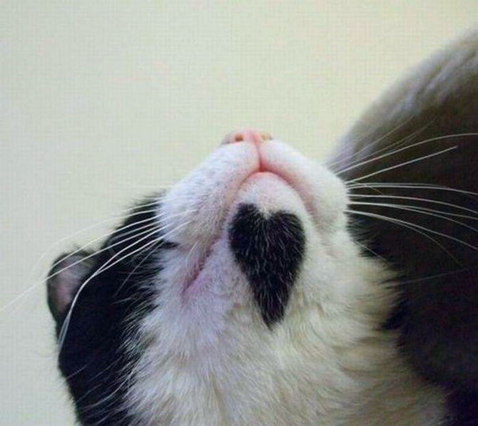    ::  1