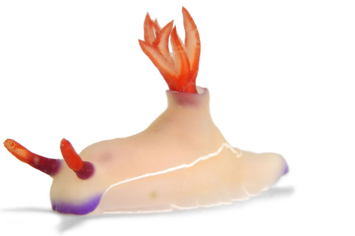  ::   ::  1
