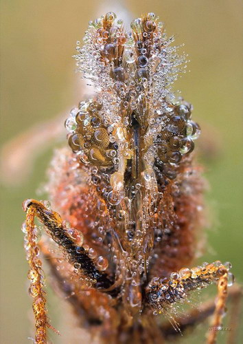   ::     8