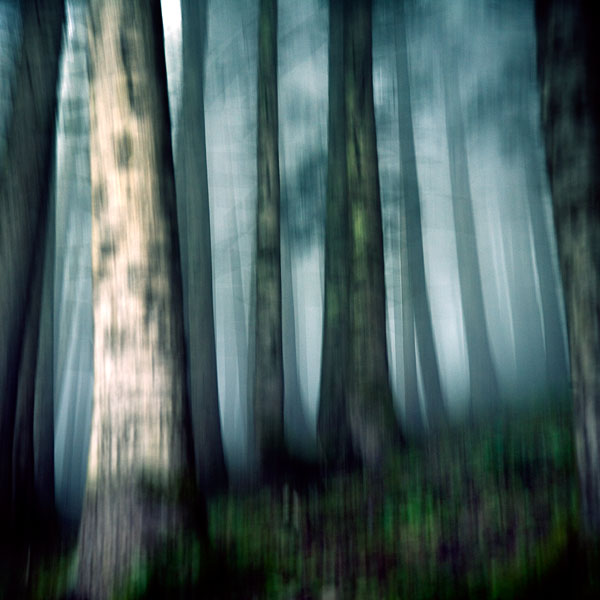  Ebru Sidar ::  1