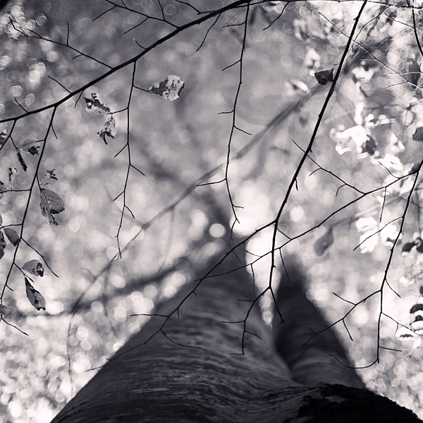  Ebru Sidar ::  1
