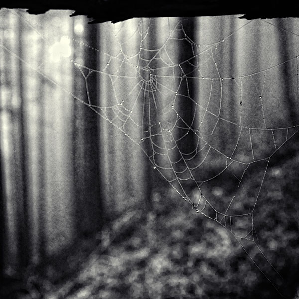  Ebru Sidar ::  1