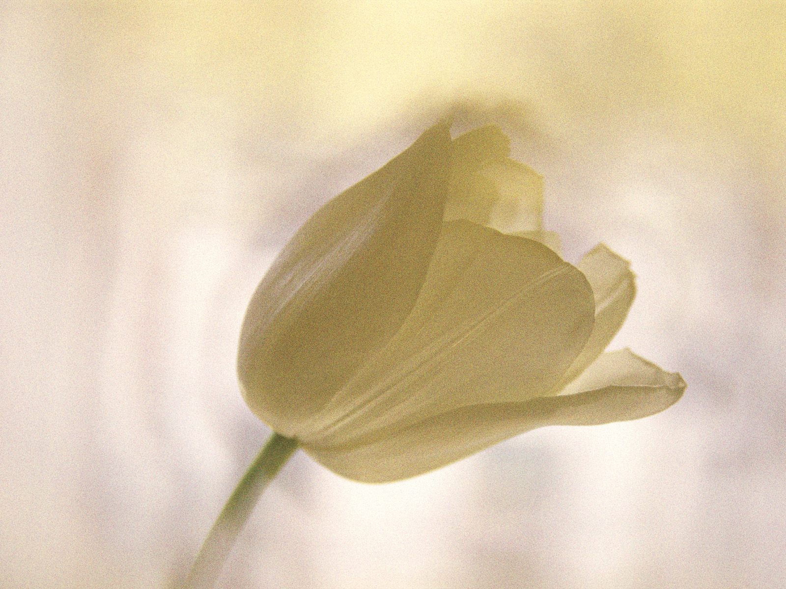  ::  ::  1