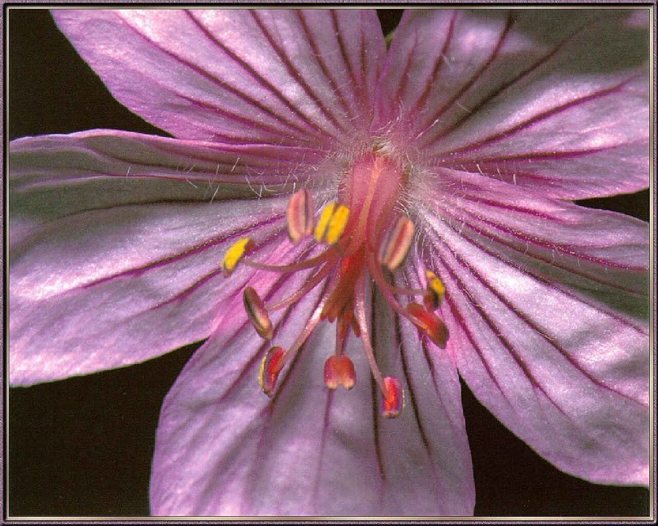  ::  ::  1