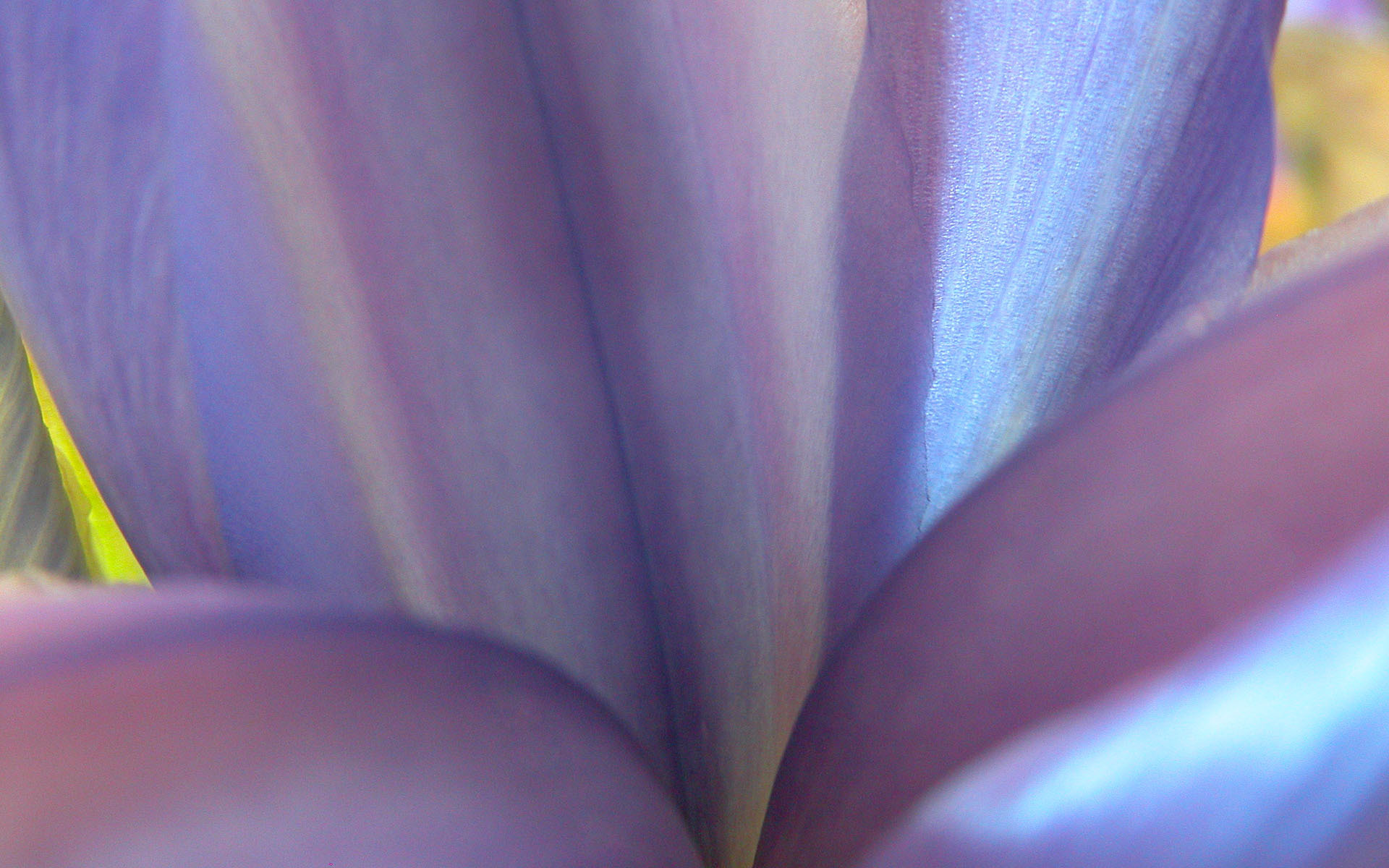     ::      ::  1