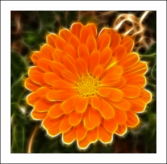  :: Fractalius art ::  1