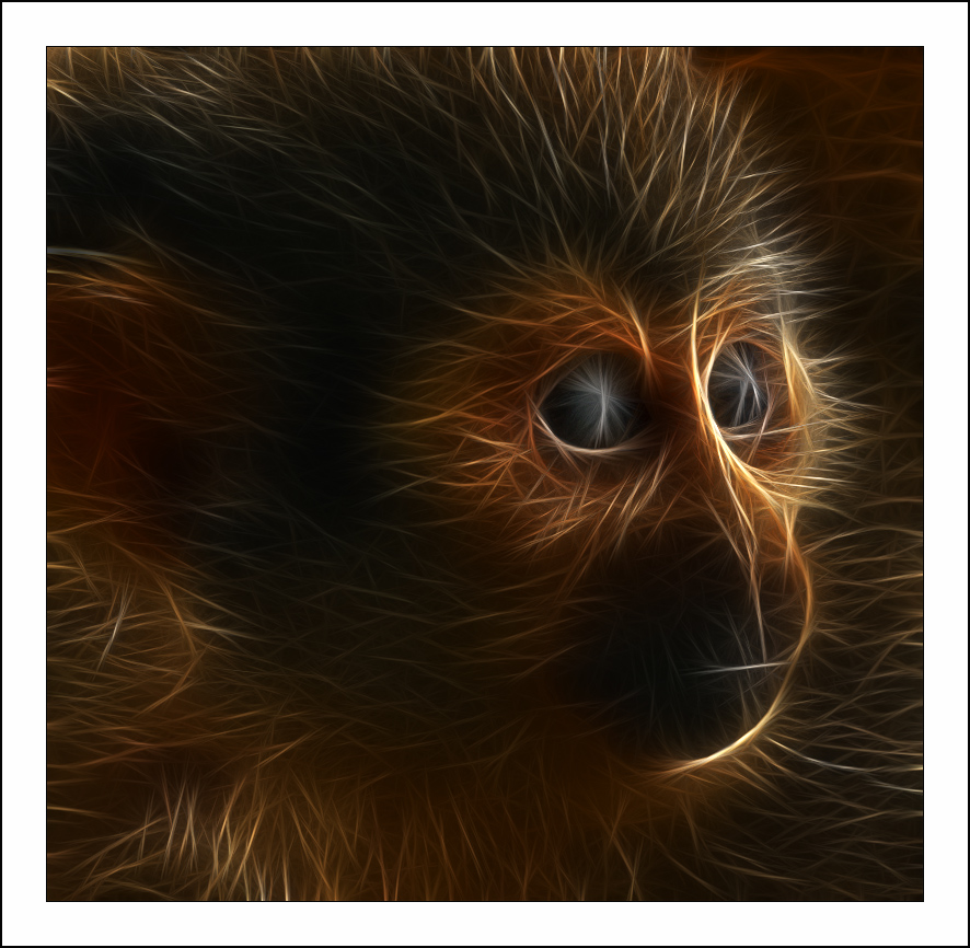  :: Fractalius art ::  1