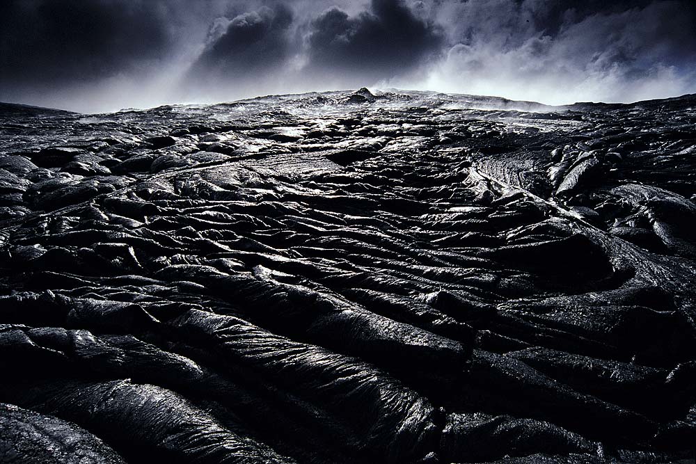  ::  Frans Lanting ::  1