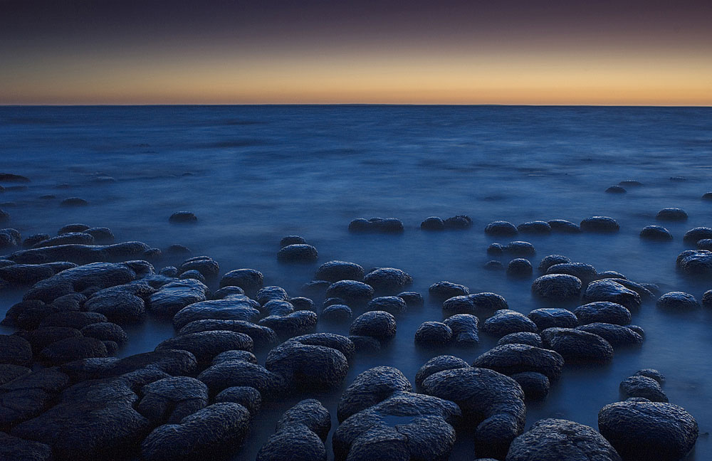  ::  Frans Lanting ::  1