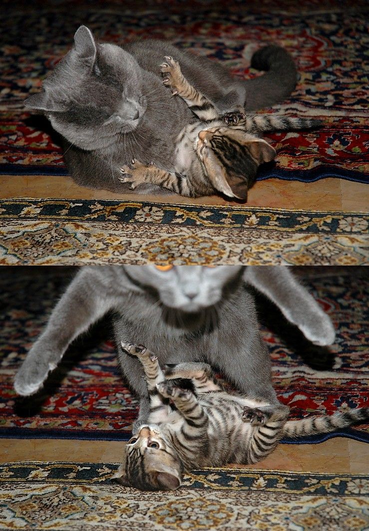   ::   ::  1