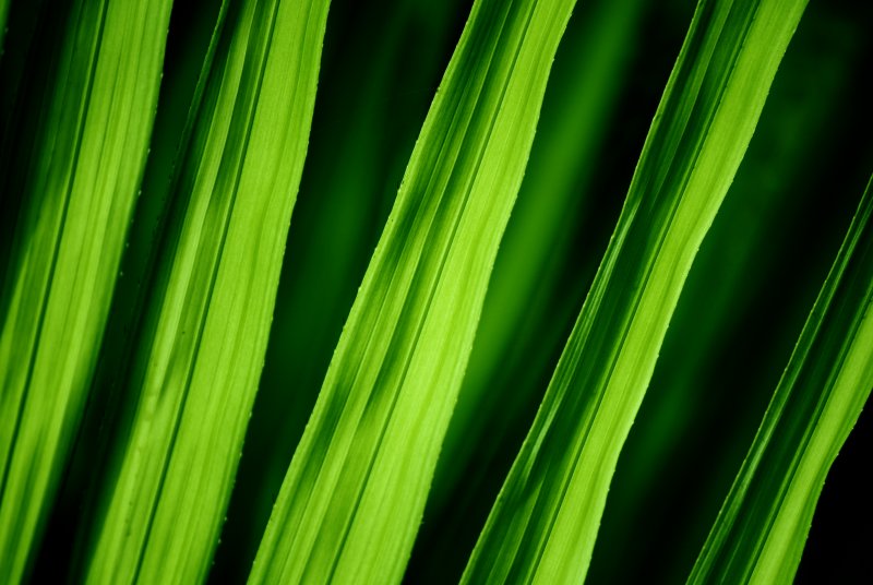  ::    ::  1