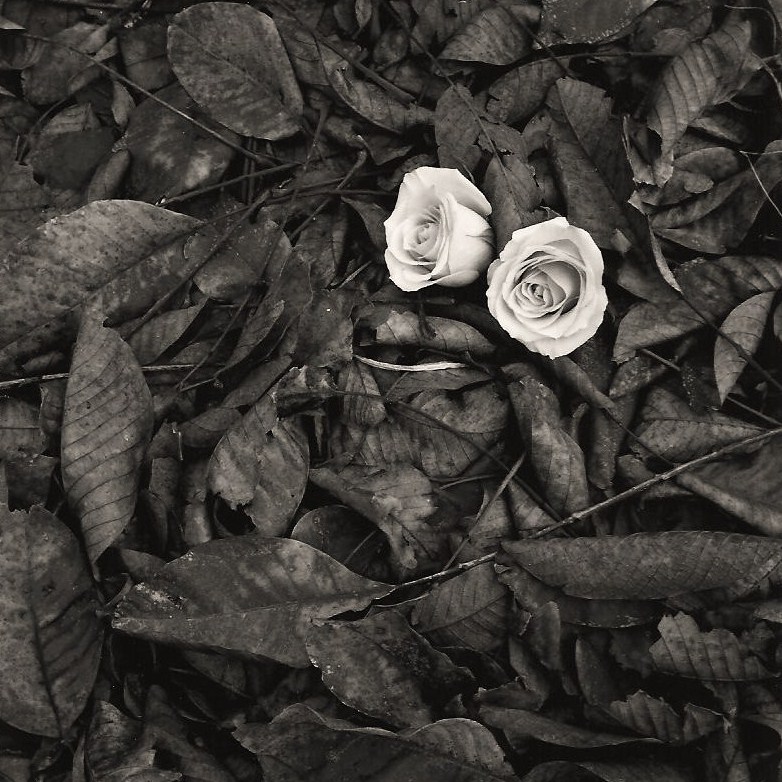  ::  George Koutsilieris ::  1