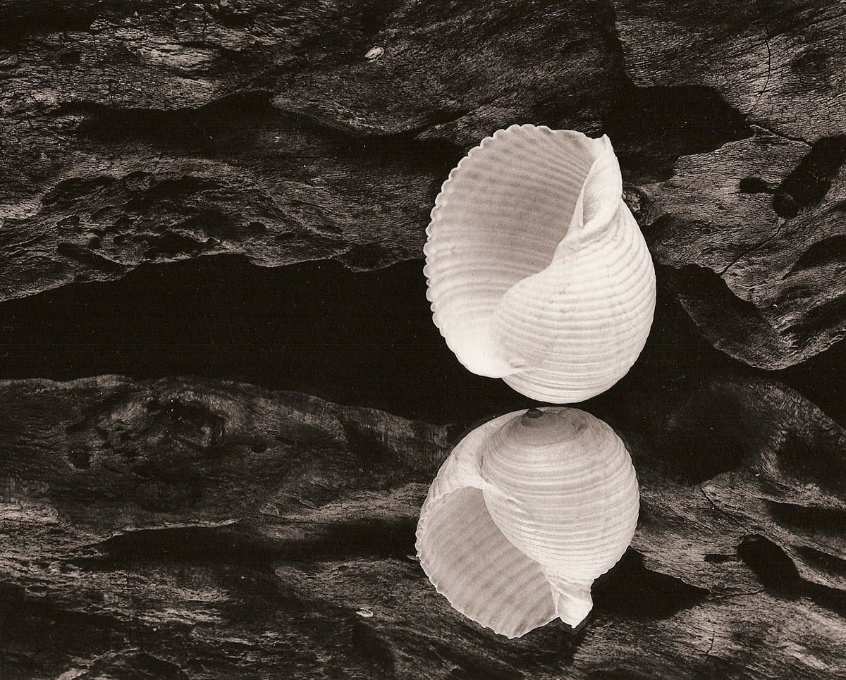  ::  George Koutsilieris ::  1