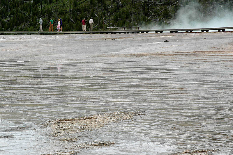 ::  Grand Prismatic ::  1